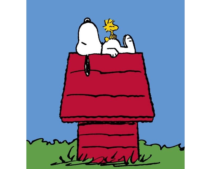 Nuestro amigo “Snoopy” cumple 72 años ¡Lo amamos!